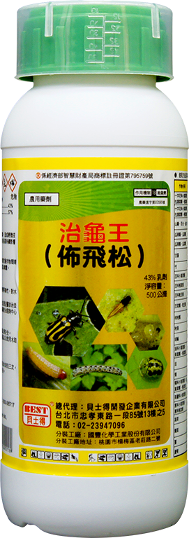 治龜王(佈飛松)43%EC